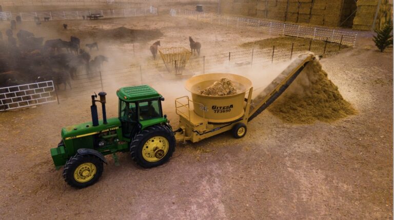 Imagen 25 09 25 a las 12.52 p.m. 2 768x428